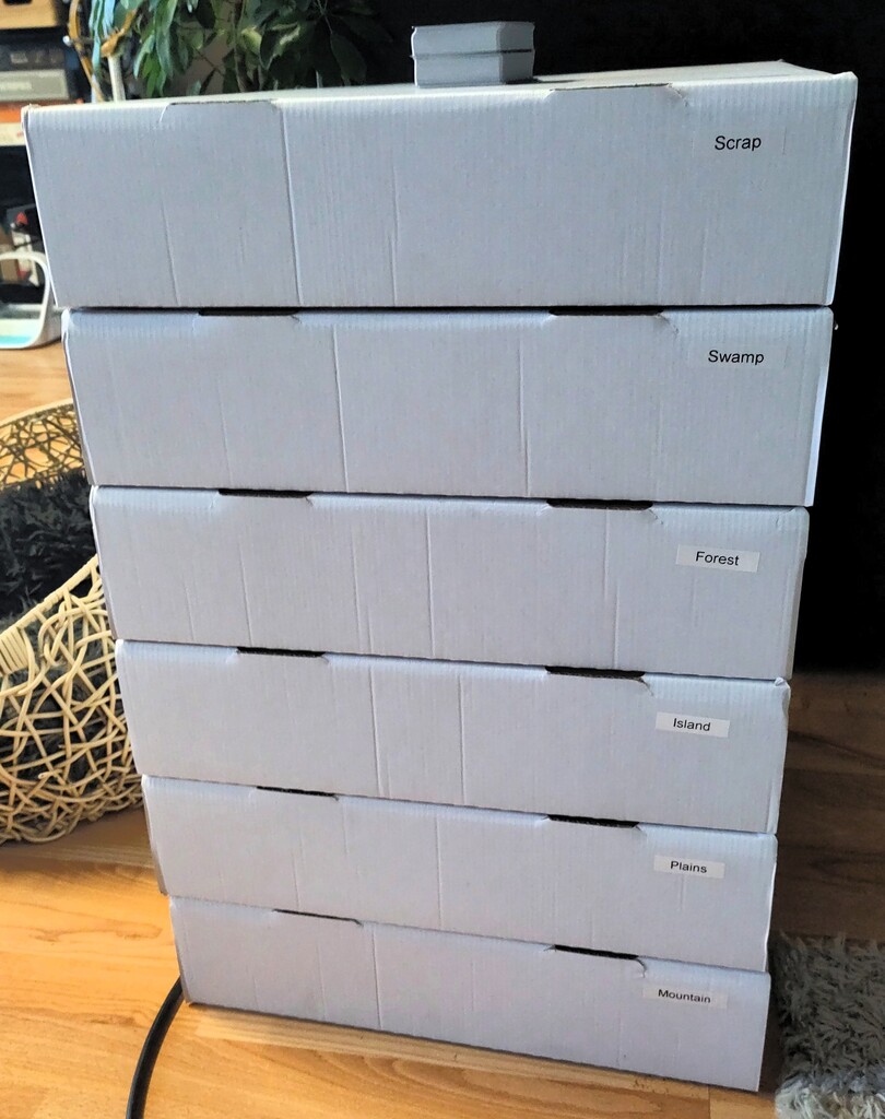 6 card storage boxes