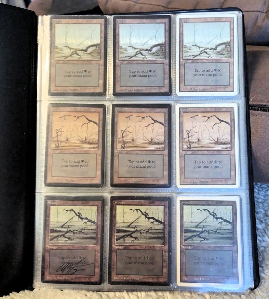 Page 1 of the Landrush Portfolio Binder